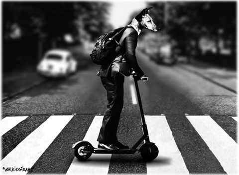 tshirt-crosswalk2-image