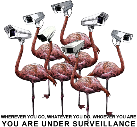 tshirt-flamingo-image